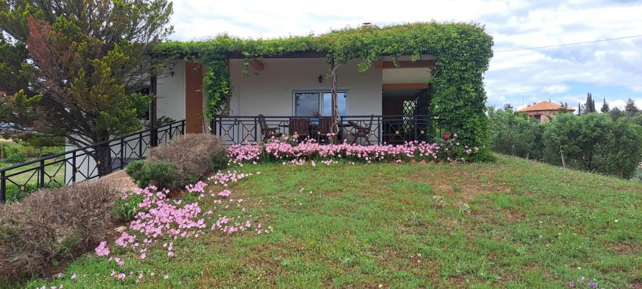 Hill View 4 Villa Alexandroupoli Bagian luar foto