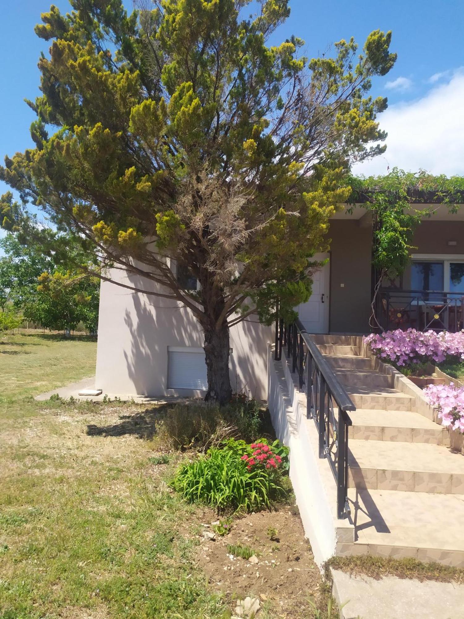 Hill View 4 Villa Alexandroupoli Bagian luar foto